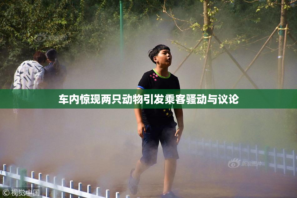 车内惊现两只动物引发乘客骚动与议论