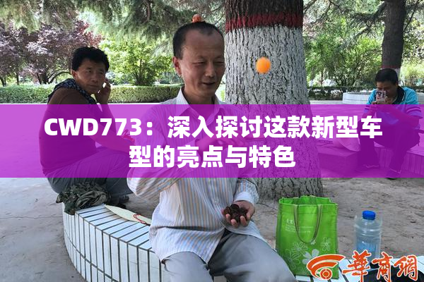 CWD773：深入探讨这款新型车型的亮点与特色