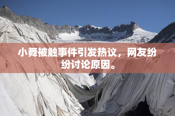 小舞被触事件引发热议，网友纷纷讨论原因。