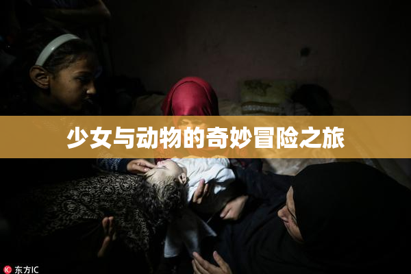 少女与动物的奇妙冒险之旅