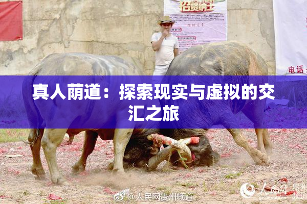 真人荫道：探索现实与虚拟的交汇之旅