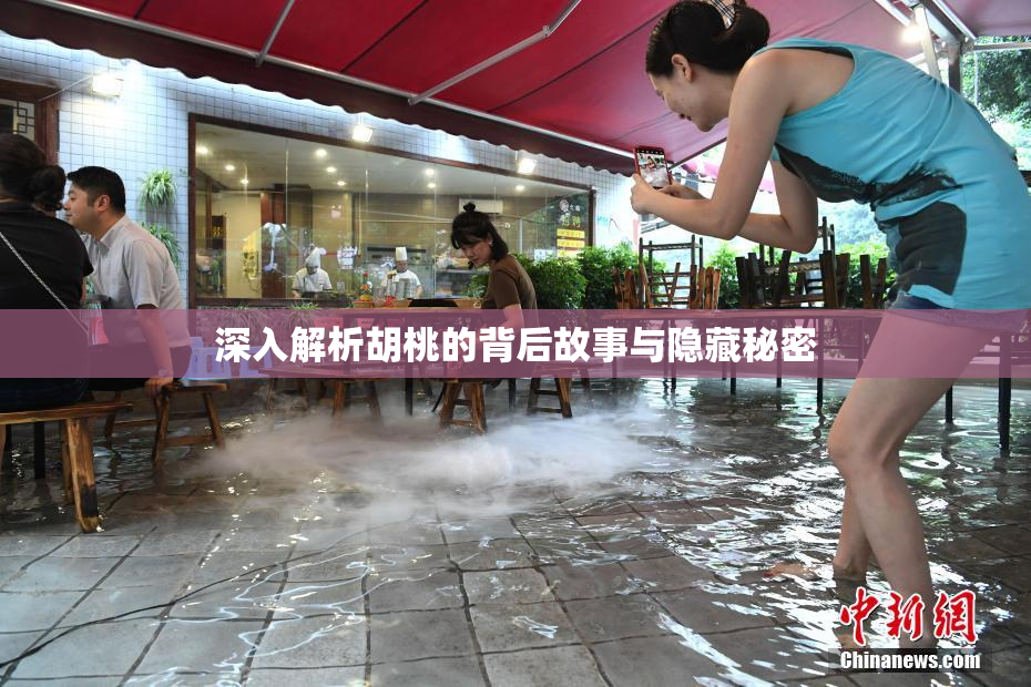 深入解析胡桃的背后故事与隐藏秘密