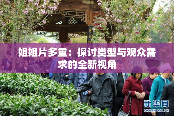 姐姐片多重：探讨类型与观众需求的全新视角