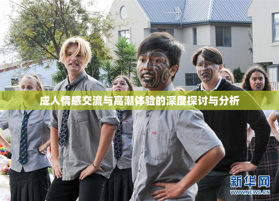 成人情感交流与高潮体验的深度探讨与分析