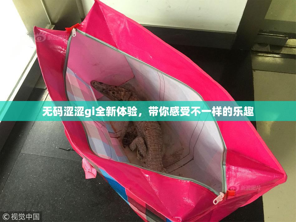 无码涩涩gi全新体验，带你感受不一样的乐趣