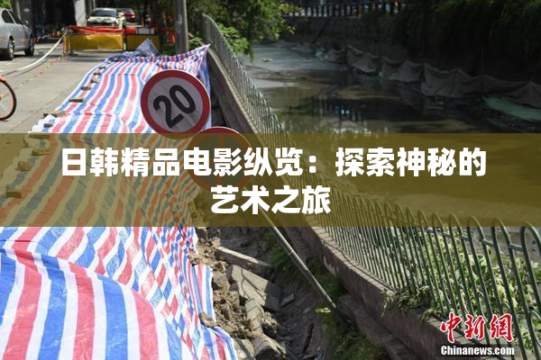 日韩精品电影纵览：探索神秘的艺术之旅