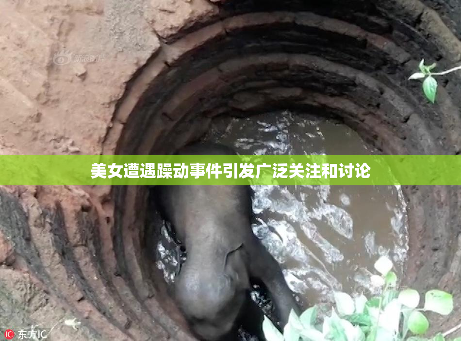 美女遭遇躁动事件引发广泛关注和讨论