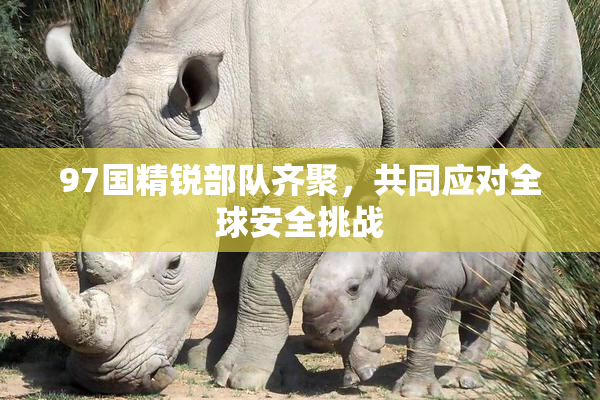 97国精锐部队齐聚，共同应对全球安全挑战