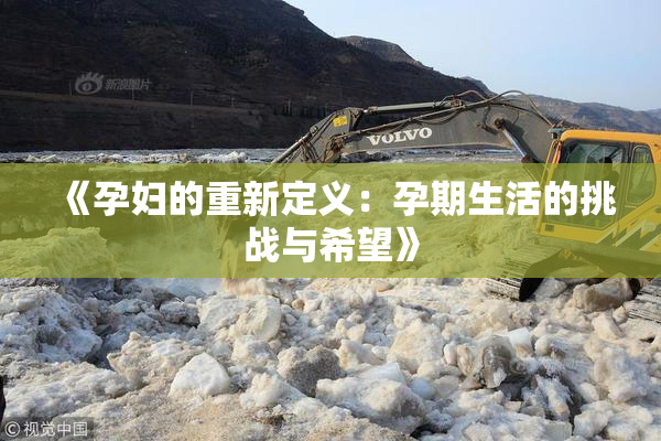《孕妇的重新定义：孕期生活的挑战与希望》