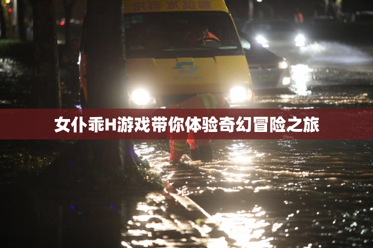 女仆乖H游戏带你体验奇幻冒险之旅