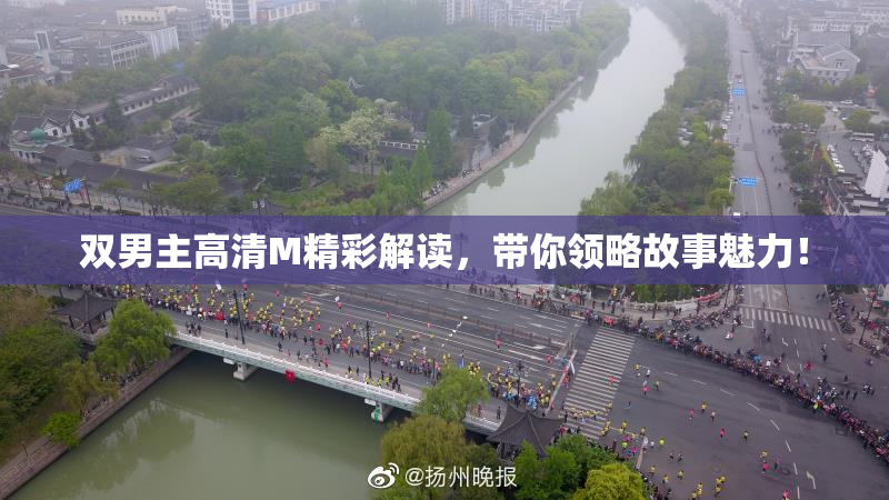 双男主高清M精彩解读，带你领略故事魅力！