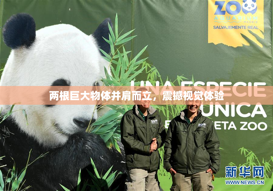 两根巨大物体并肩而立，震撼视觉体验
