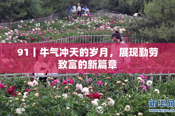 91丨牛气冲天的岁月，展现勤劳致富的新篇章