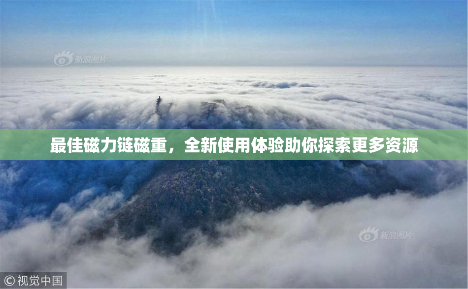 最佳磁力链磁重，全新使用体验助你探索更多资源