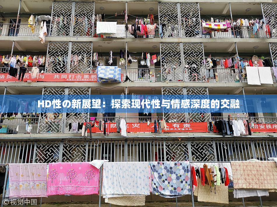 HD性の新展望：探索现代性与情感深度的交融