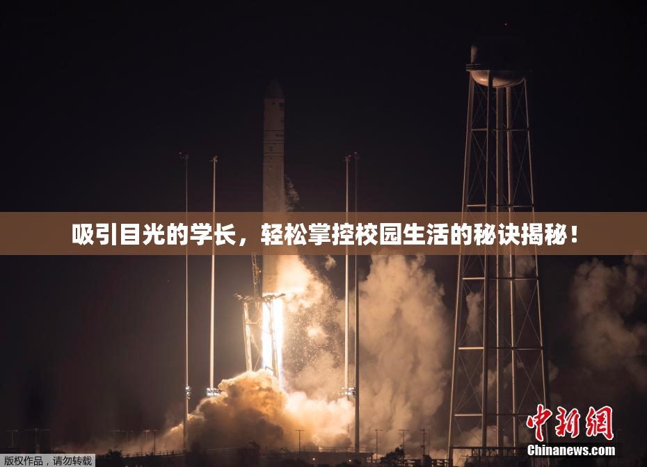 吸引目光的学长，轻松掌控校园生活的秘诀揭秘！