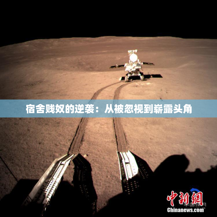 宿舍贱奴的逆袭：从被忽视到崭露头角