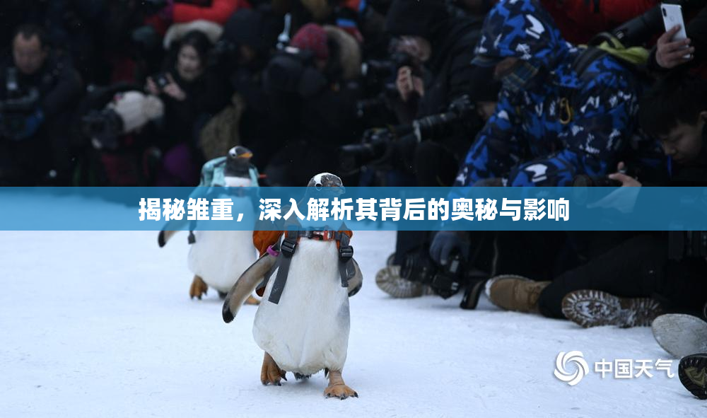 揭秘雏重，深入解析其背后的奥秘与影响