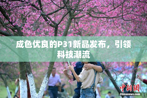 成色优良的P31新品发布，引领科技潮流