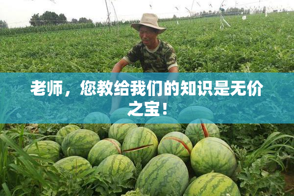 老师，您教给我们的知识是无价之宝！