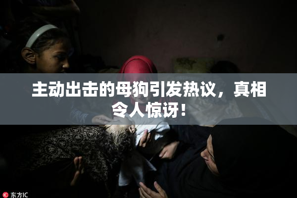 主动出击的母狗引发热议，真相令人惊讶！