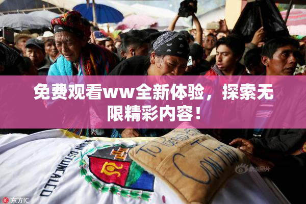 免费观看ww全新体验，探索无限精彩内容！