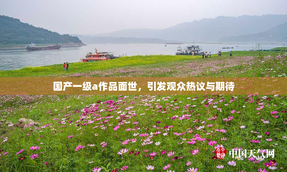 国产一级a作品面世，引发观众热议与期待