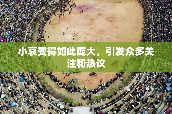 小哀变得如此庞大，引发众多关注和热议