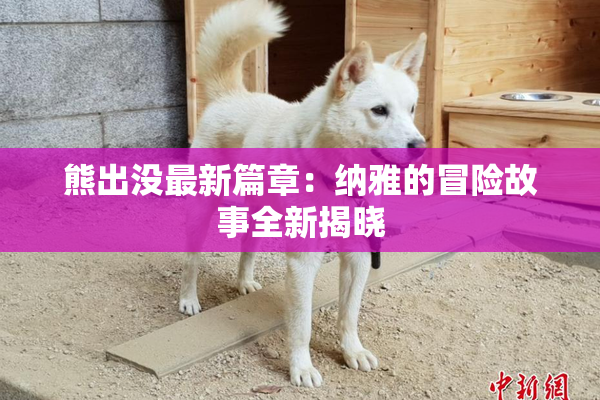 熊出没最新篇章：纳雅的冒险故事全新揭晓