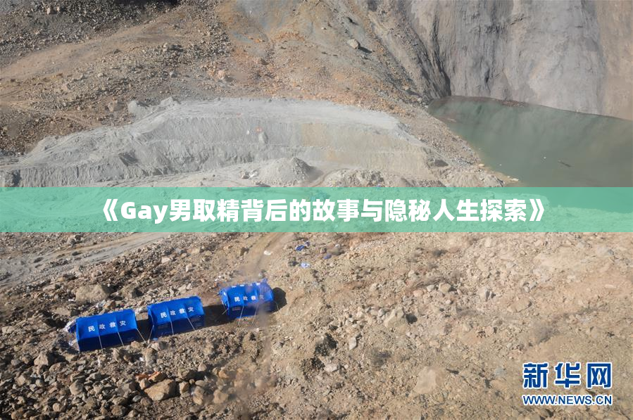 《Gay男取精背后的故事与隐秘人生探索》