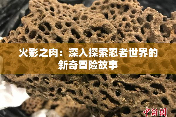 火影之肉：深入探索忍者世界的新奇冒险故事