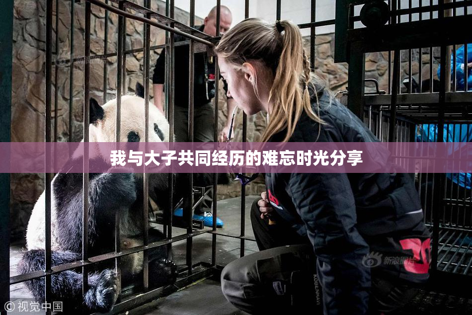 我与大子共同经历的难忘时光分享