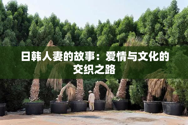 日韩人妻的故事：爱情与文化的交织之路