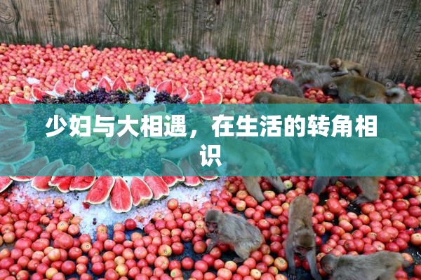 少妇与大相遇，在生活的转角相识