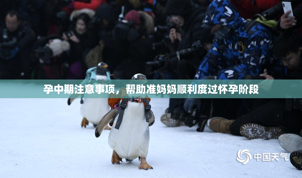 孕中期注意事项，帮助准妈妈顺利度过怀孕阶段