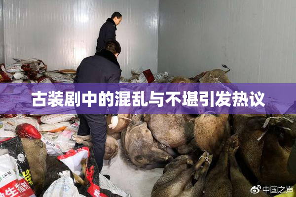 古装剧中的混乱与不堪引发热议