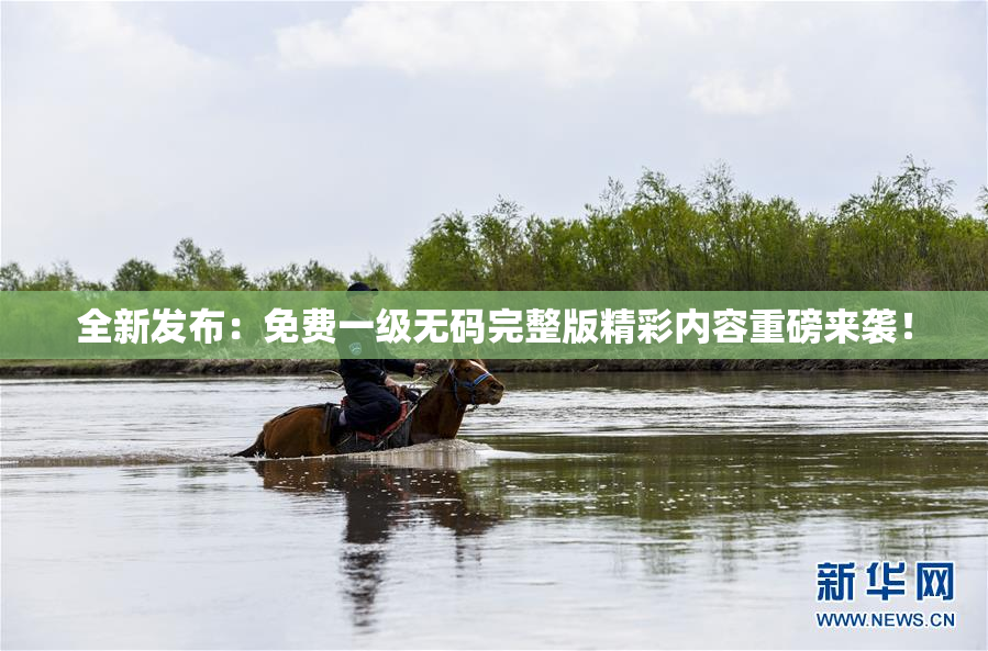 全新发布：免费一级无码完整版精彩内容重磅来袭！