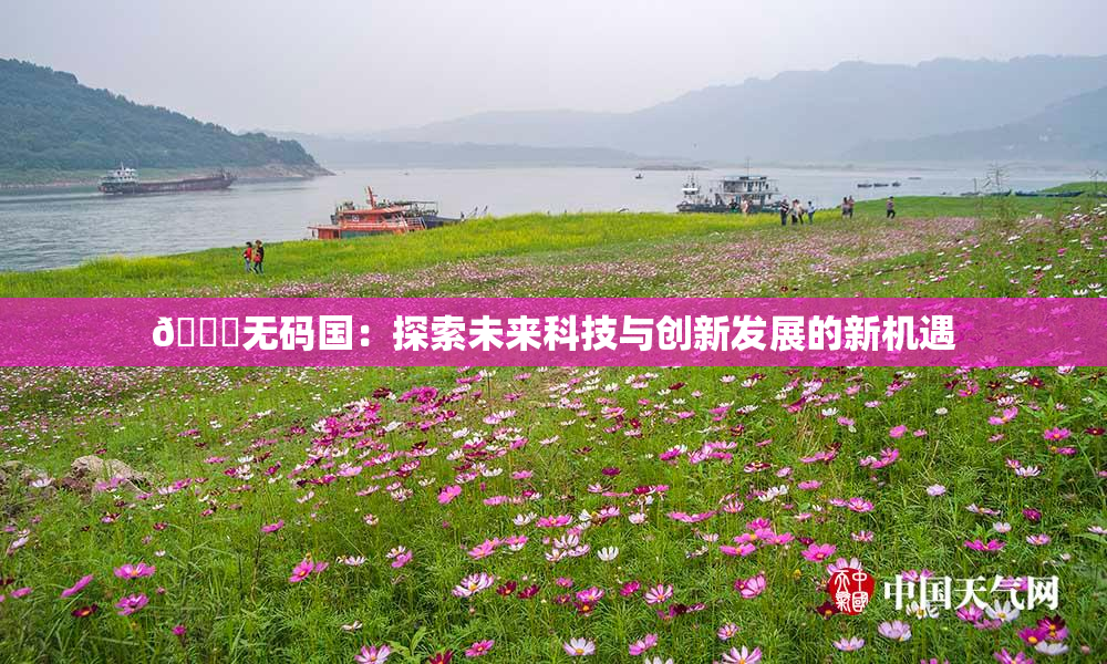 🔞无码国：探索未来科技与创新发展的新机遇