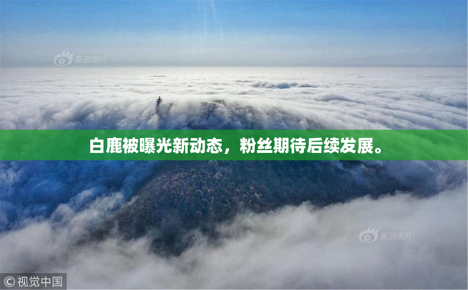 白鹿被曝光新动态，粉丝期待后续发展。