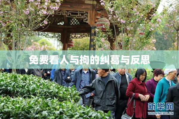 免费看人与拘的纠葛与反思