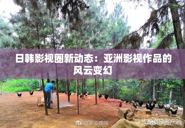 日韩影视圈新动态：亚洲影视作品的风云变幻