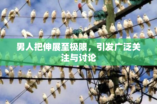 男人把伸展至极限，引发广泛关注与讨论