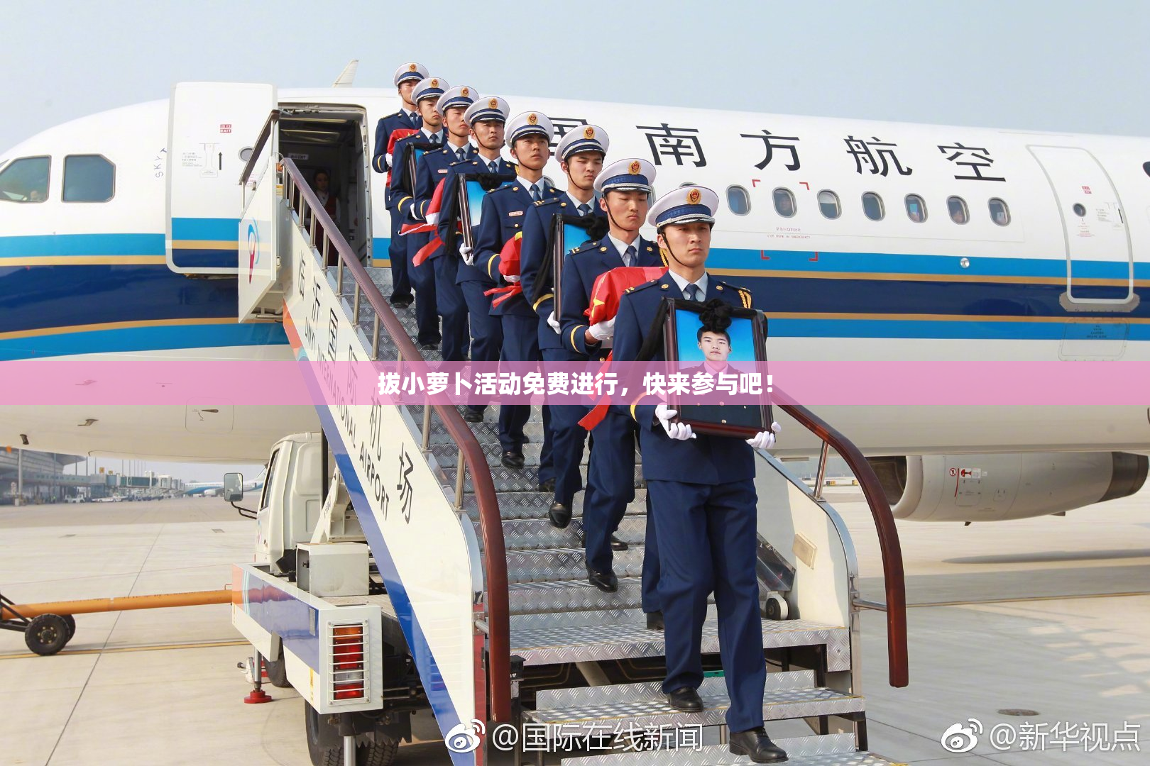 拔小萝卜活动免费进行，快来参与吧！