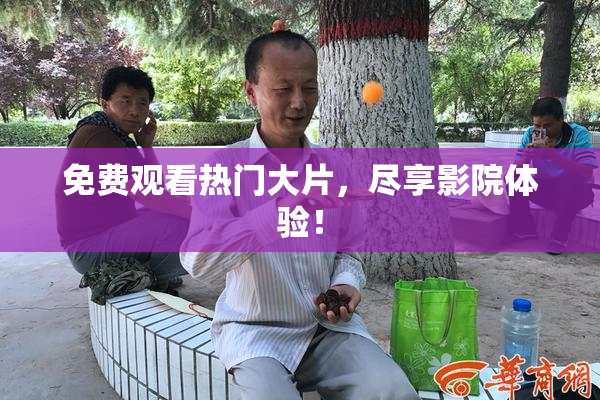 免费观看热门大片，尽享影院体验！