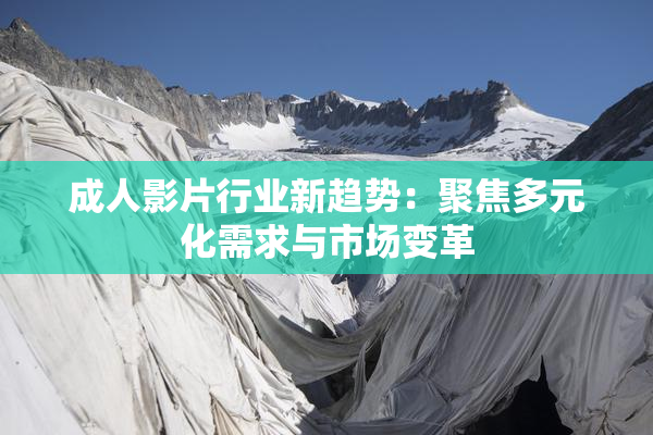 成人影片行业新趋势：聚焦多元化需求与市场变革