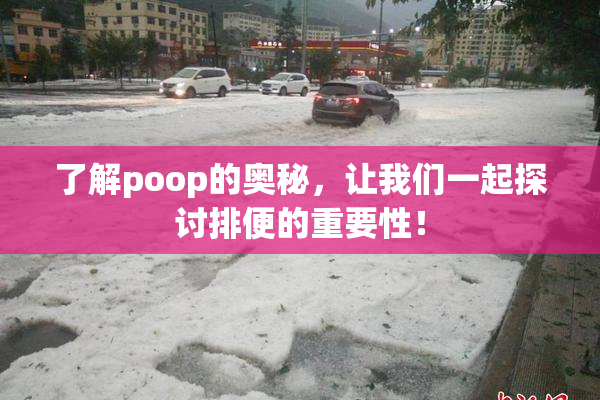 了解poop的奥秘，让我们一起探讨排便的重要性！