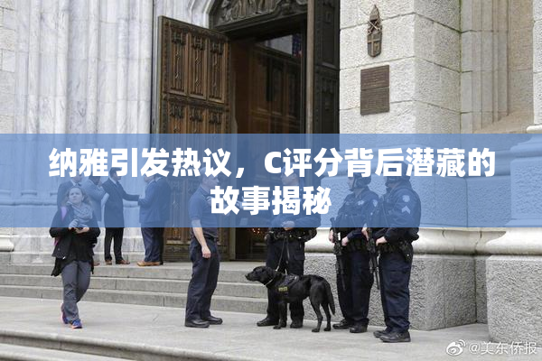 纳雅引发热议，C评分背后潜藏的故事揭秘