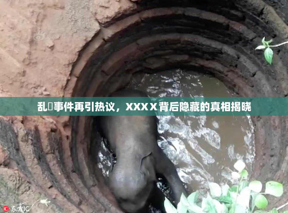 乱婬事件再引热议，XXXⅩ背后隐藏的真相揭晓