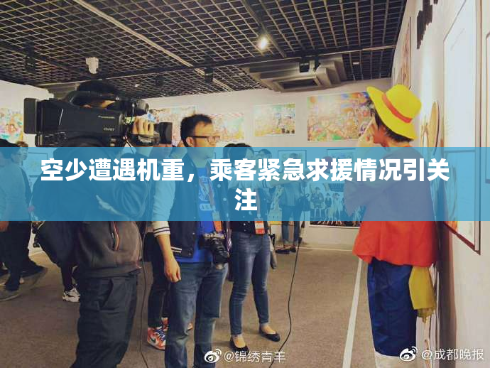 空少遭遇机重，乘客紧急求援情况引关注