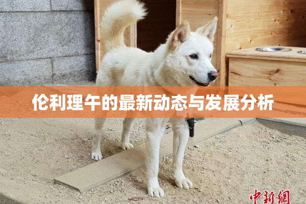 伦利理午的最新动态与发展分析